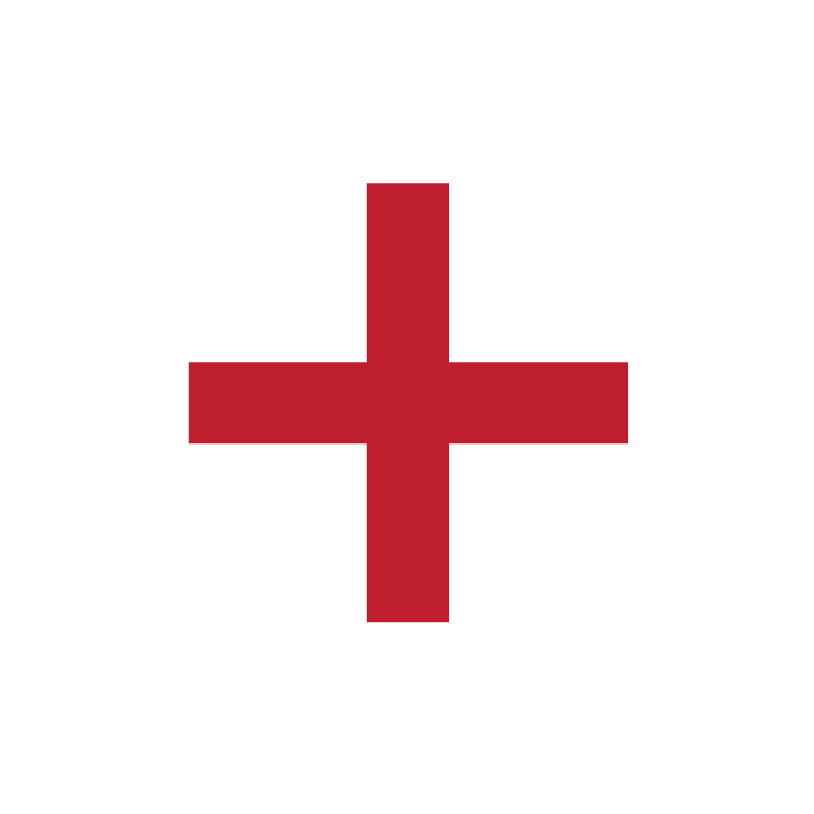 550182f4431b875c525e3fd2_more_large_red.png